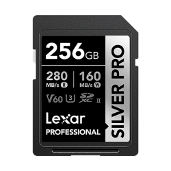 Lexar SD V60 Silver 256GB