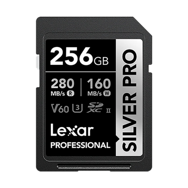 Lexar SD V60 Silver 256GB
